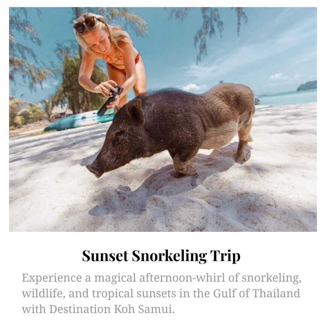 Sunset Snorkelling