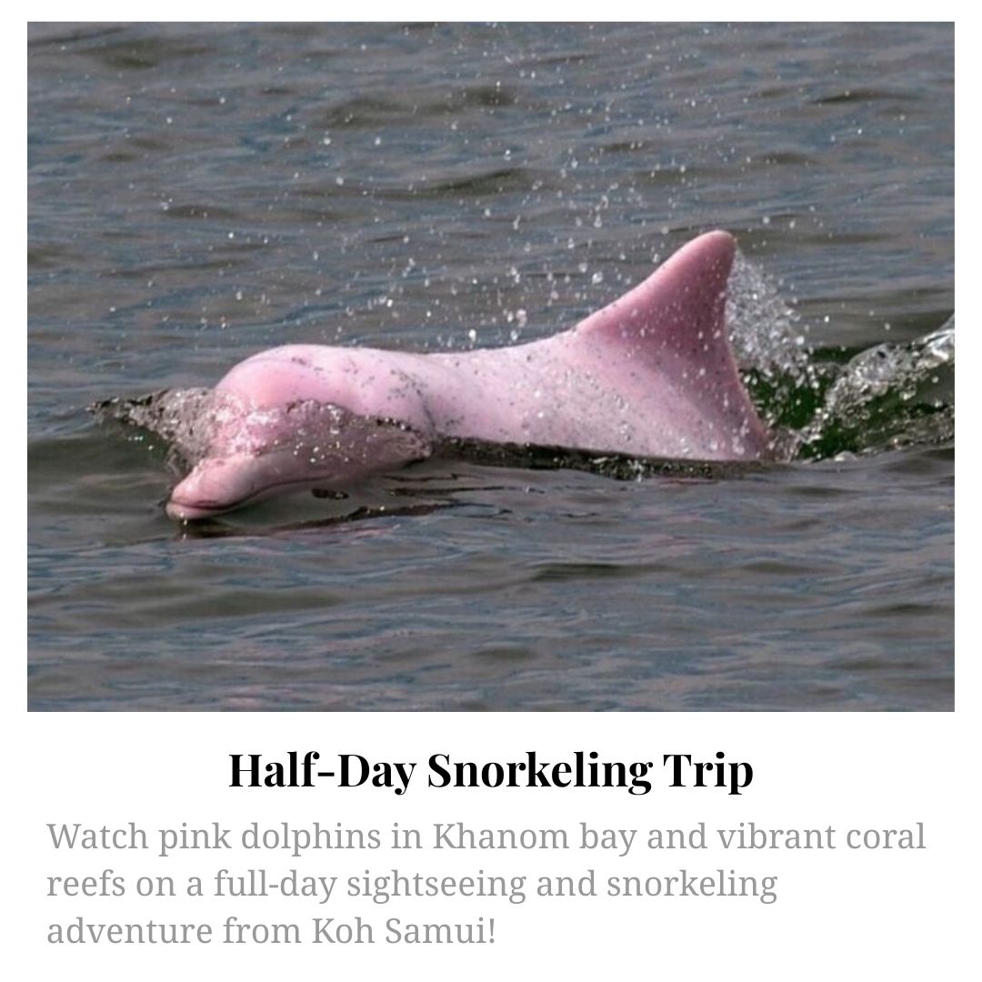 Half-Day Snorkeling Trip